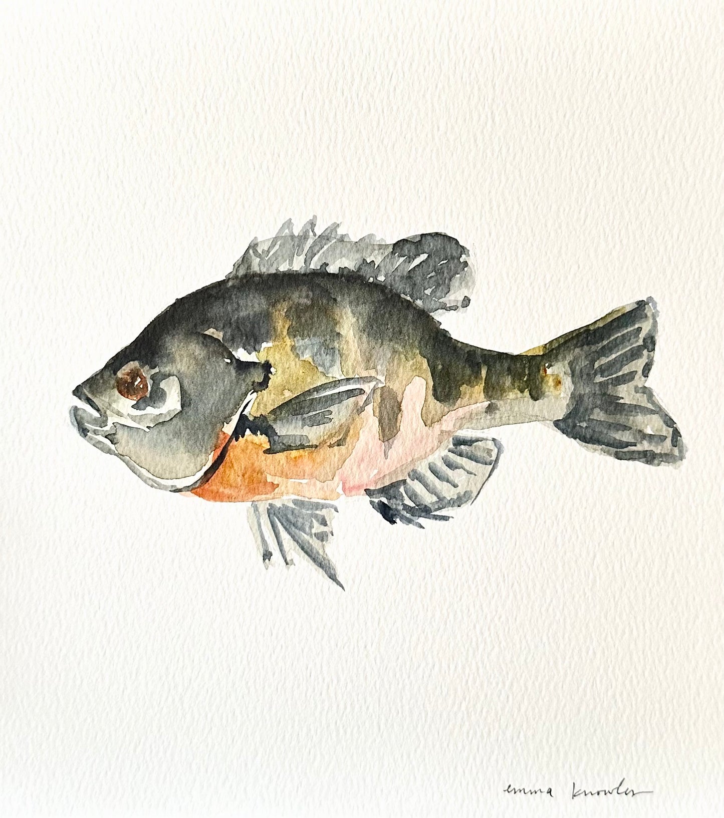 Watercolor Brim