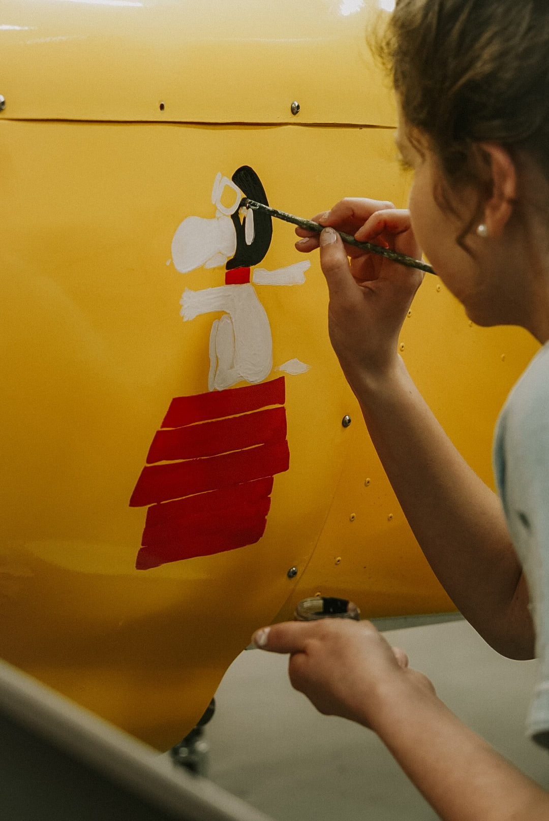 Plane Painting!