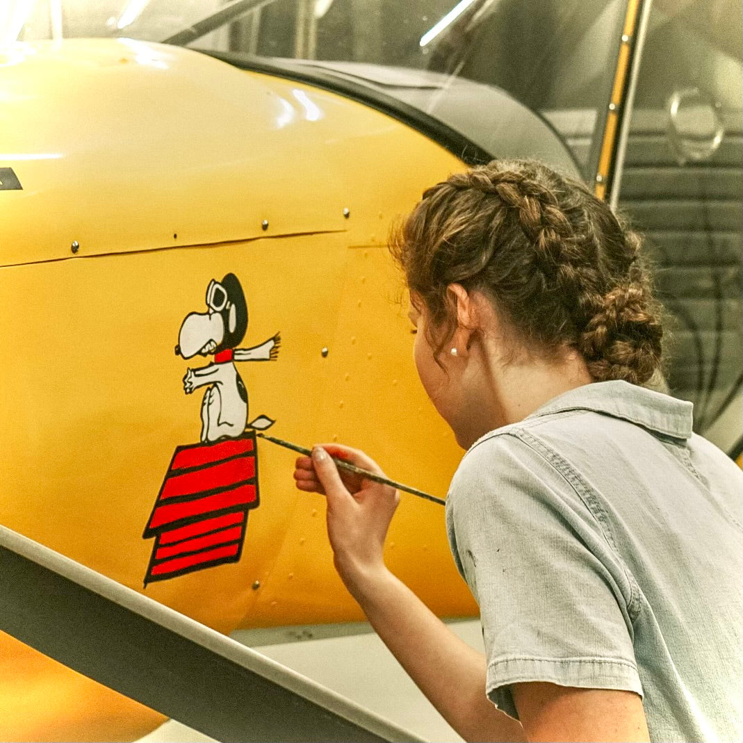 Plane Painting!