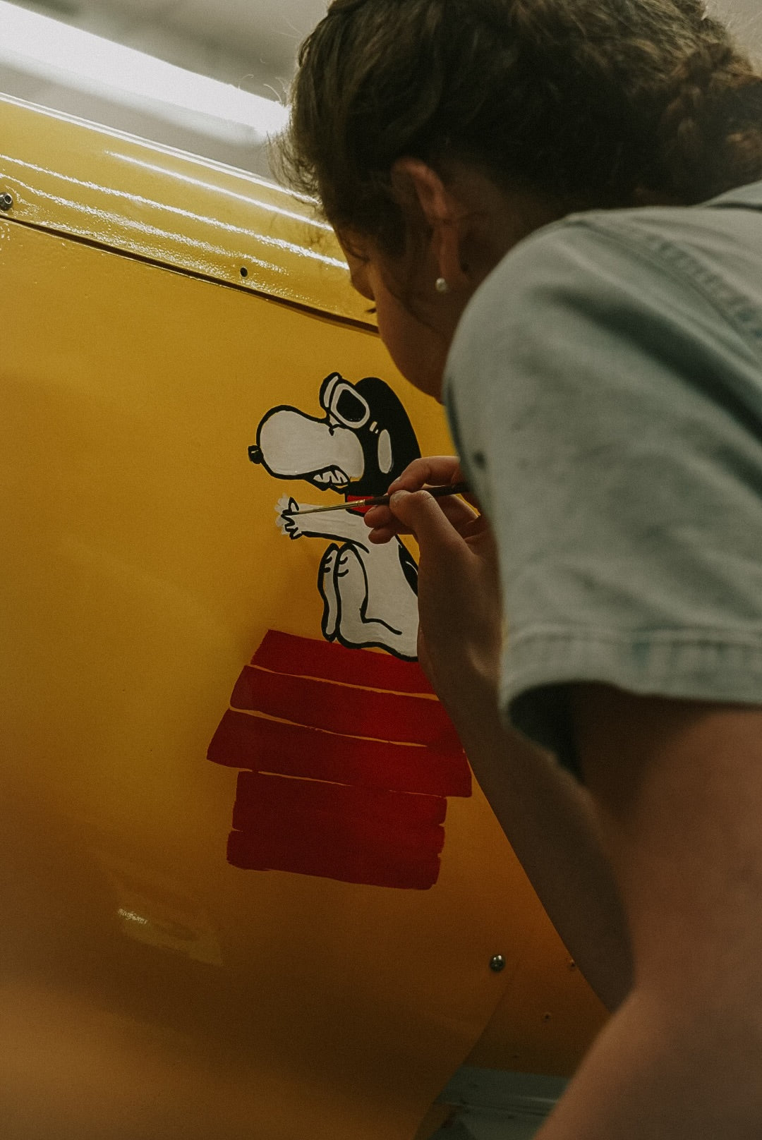 Plane Painting!