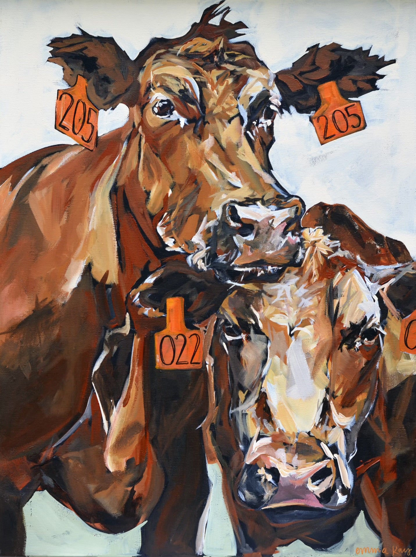 Cows