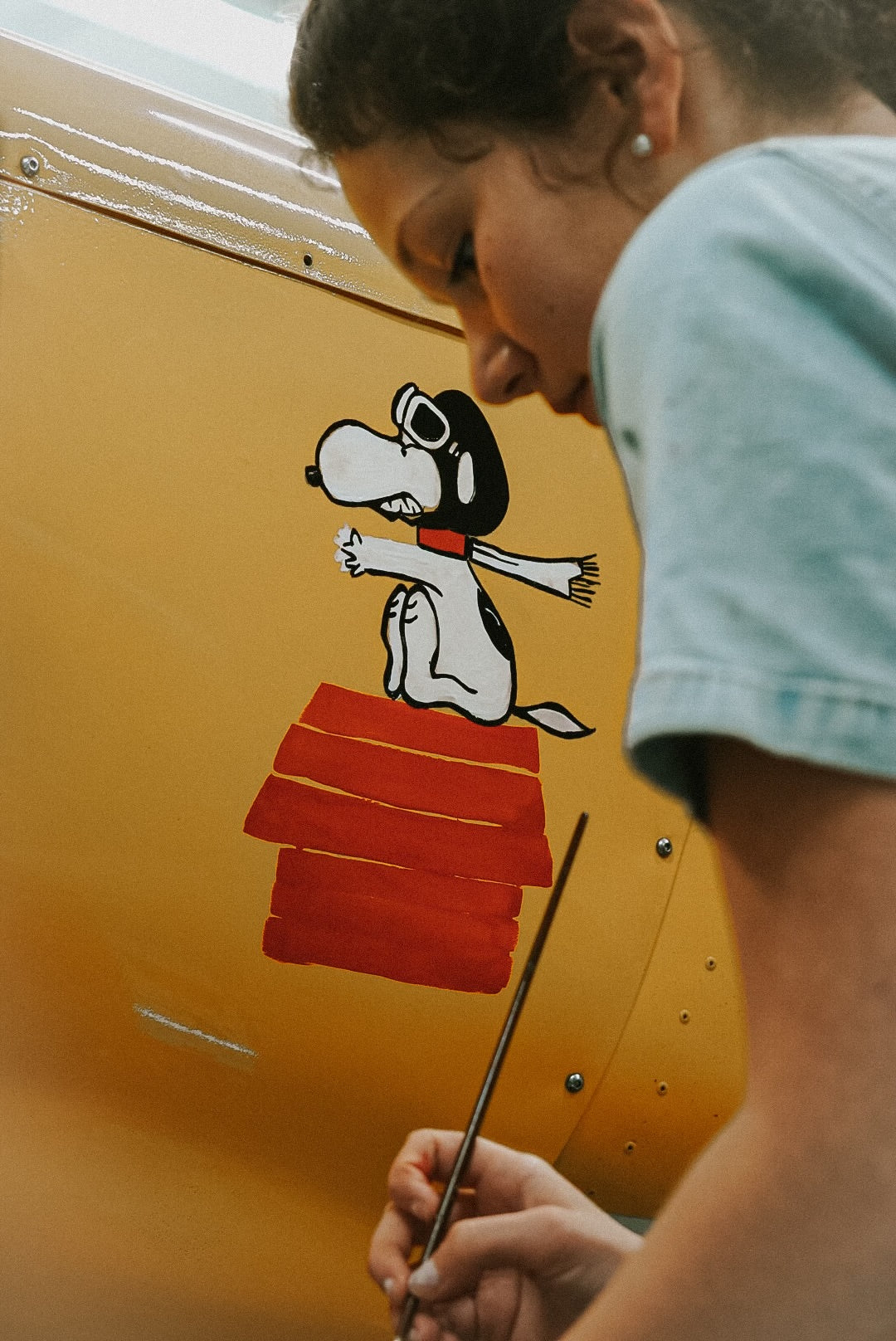 Plane Painting!