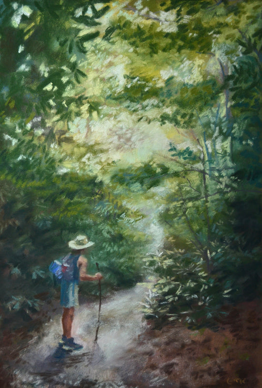 Somewhere in The Nantahala National Forest Prints